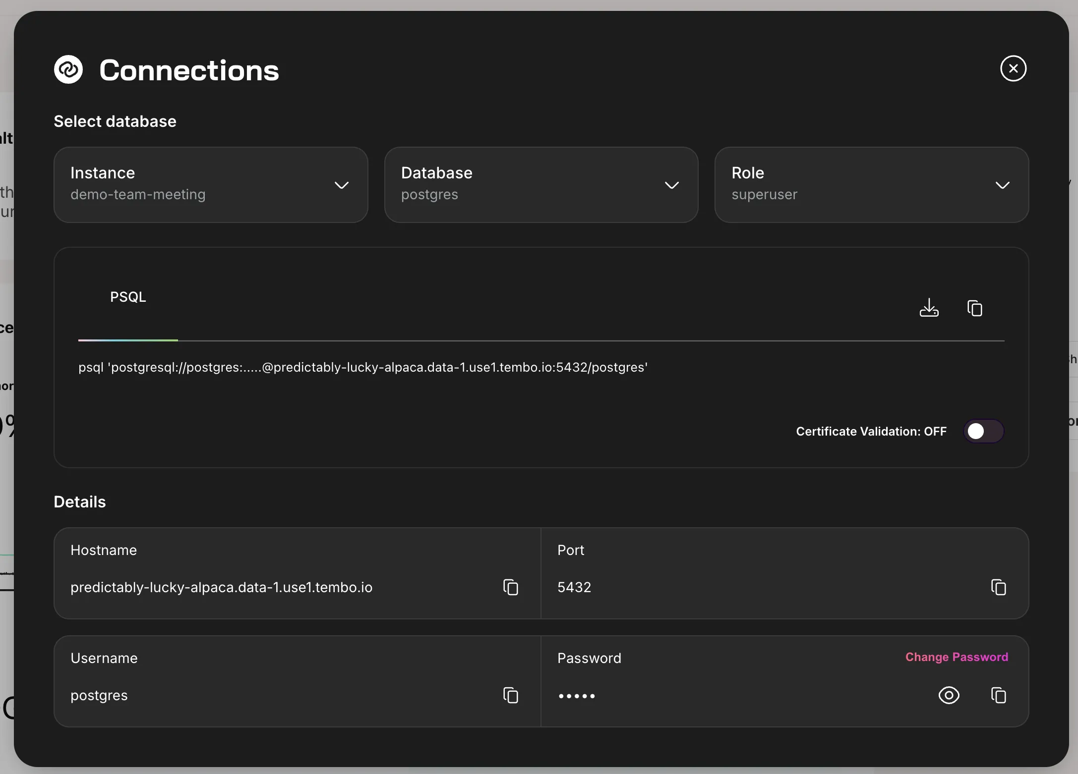 connection-strings-window