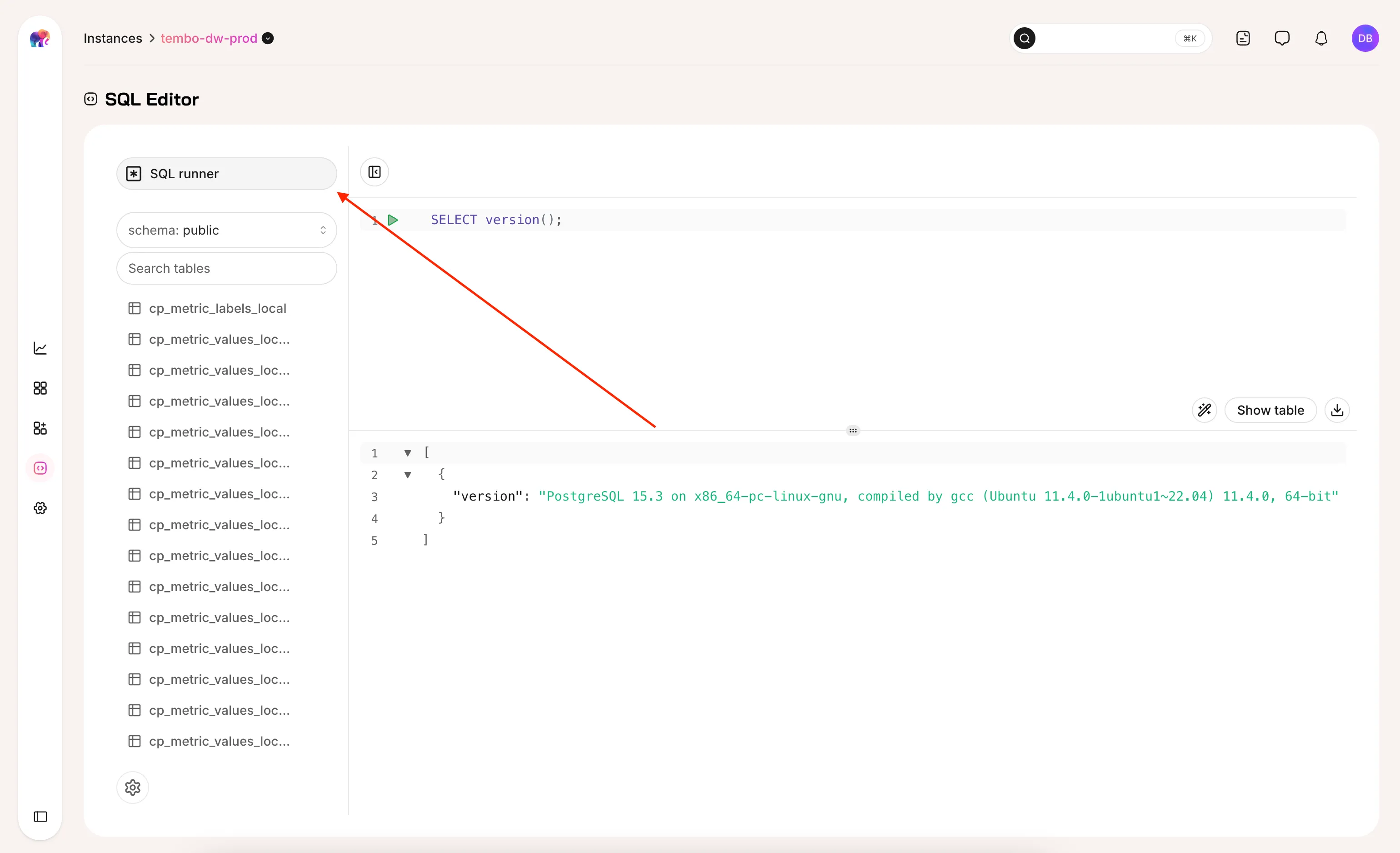 sql_runner